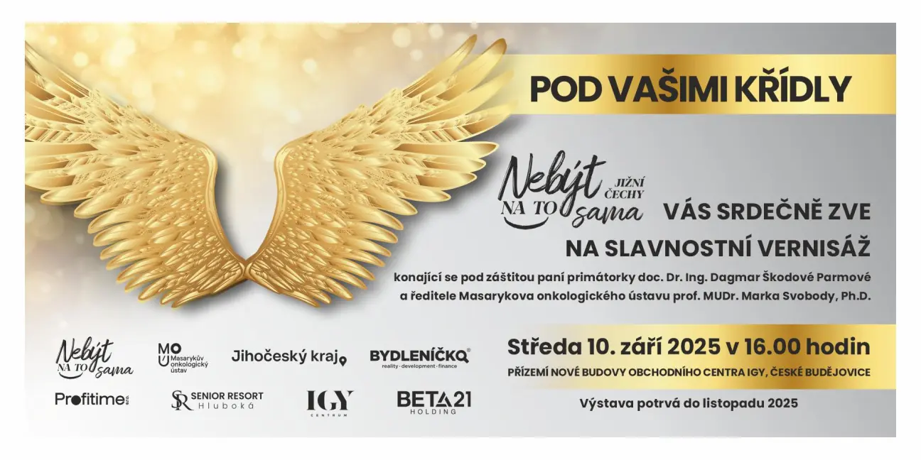 Vernisáž Pod vašimi křídly v Českých Budějovicích - obrázek 1