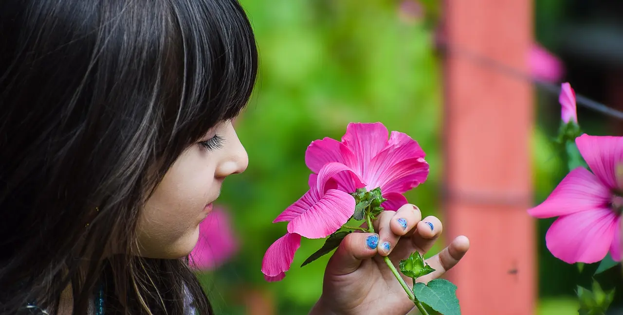 On-line Amelie v srpnu - obrázek 1
