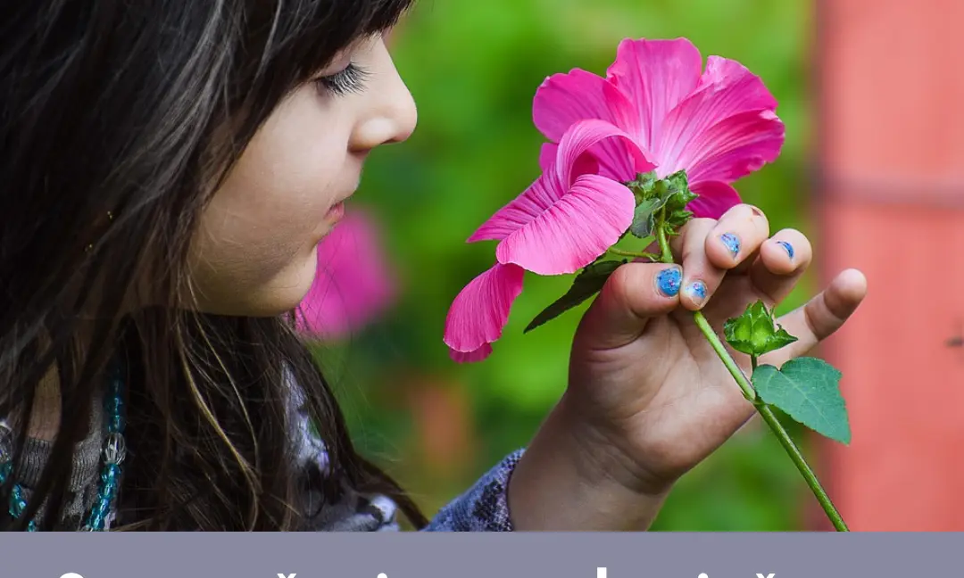 On-line Amelie v srpnu - obrázek 1