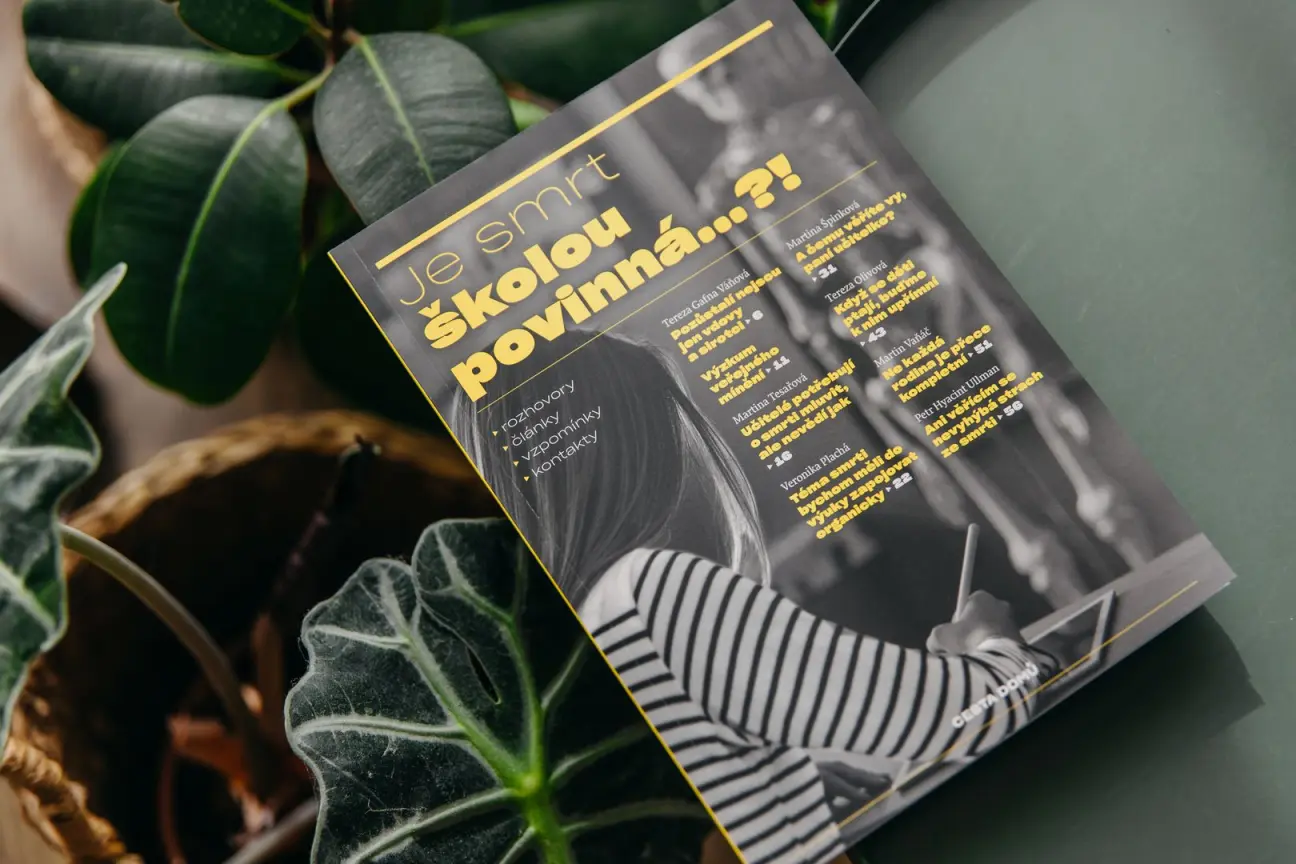 Cesta domů - obrázek 1