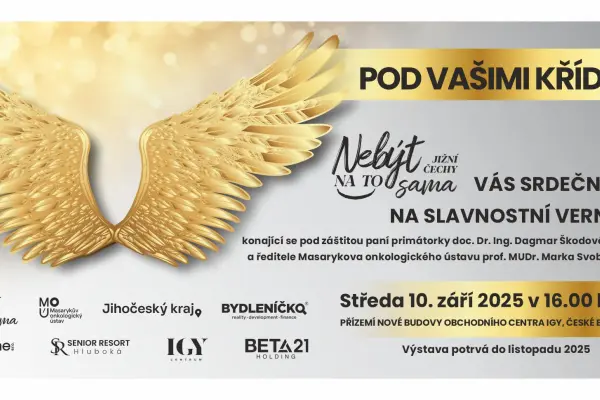 Vernisáž Pod vašimi křídly v Českých Budějovicích