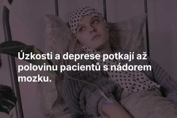 Mezinárodní konference psychoneuroonkologie - obrázek 2